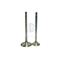 OEM BMW Intake/Exhaust Engine Valves