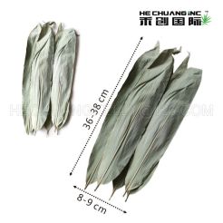 Dried Bamboo Leaves for Zongzi