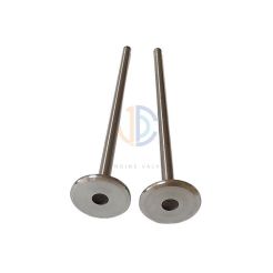 Cummins Engine Valves